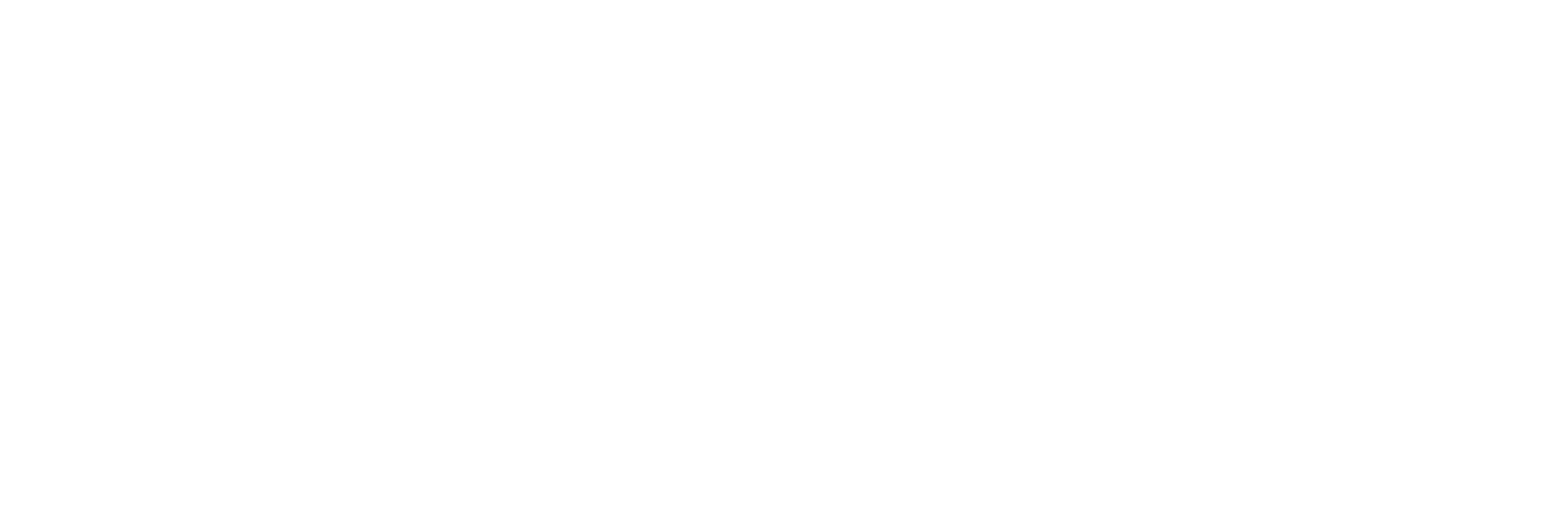 Medvista Healthcare INC